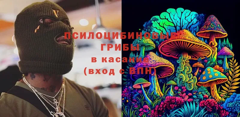 Галлюциногенные грибы Psilocybe  Тобольск 